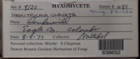Image Associated With the Occurence